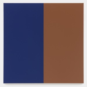 Two Halves (Blue, Brown)