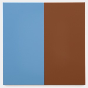 Two Halves (Blue, Brown)