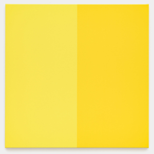 Phi (Yellow, Blue)